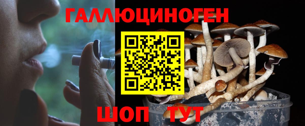 Галлюциногенные грибы Psilocybine cubensis Лянтор
